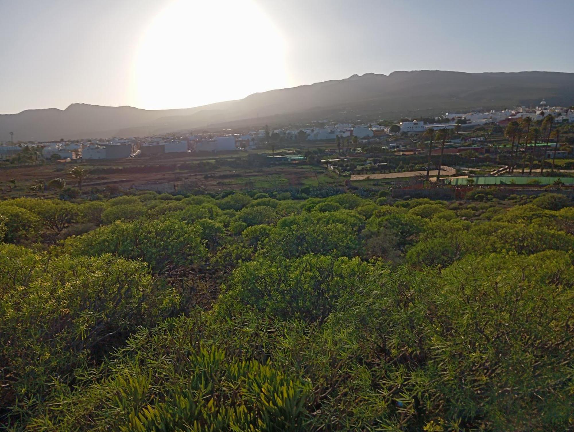 Casa Grande Finca El Calabres أغيميس المظهر الخارجي الصورة